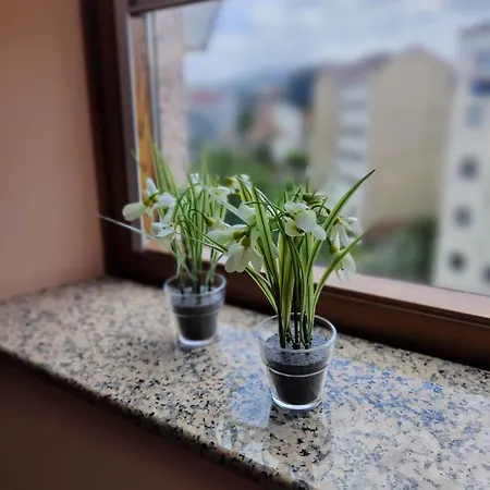 La Ventana De Ana